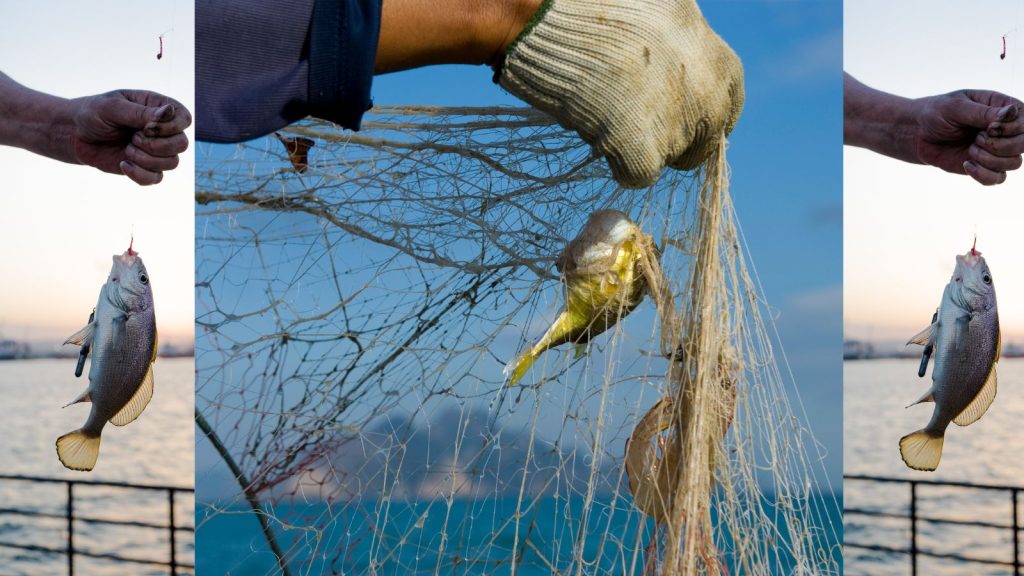 Fiskning: Exploring the Art and Benefits of Fishing